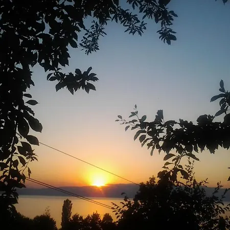 Anastas